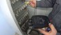 Указатель последовательности чередования фаз Радио-Сервис УПФ-2500 купить по низкой цене | МАКСПРОФИТ
