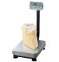 Платформенные весы AND FG-60KAL купить по низкой цене | МАКСПРОФИТ